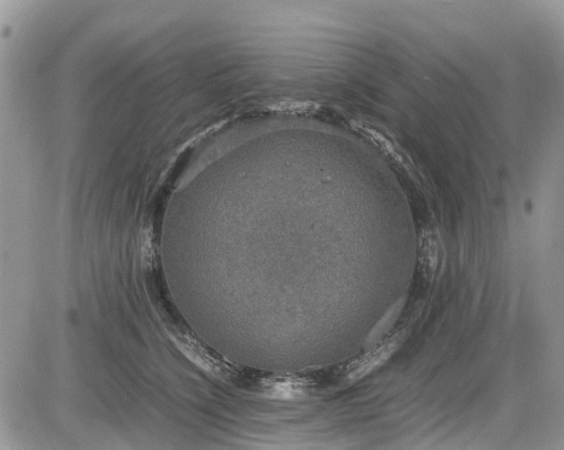 X0000085270564200703161432