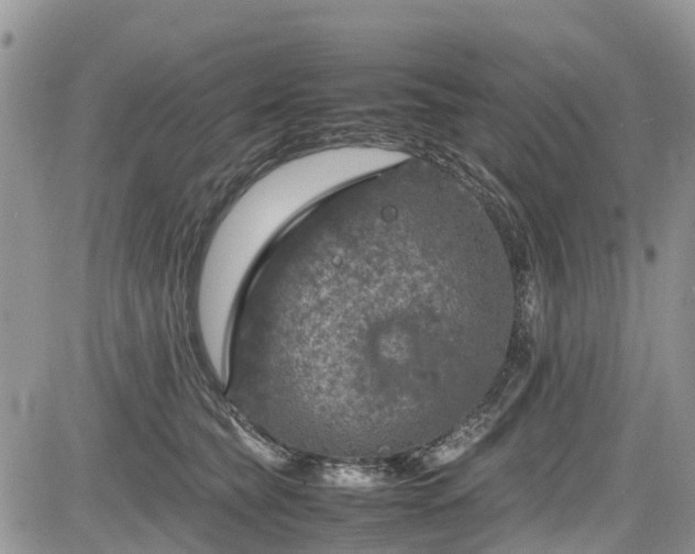 X0000085270565200703161432