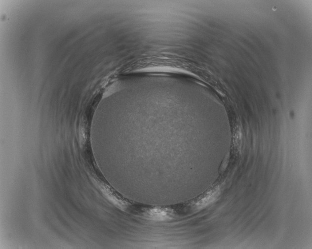 X0000085270566200703161433