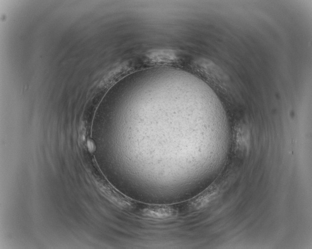 X0000085270567200703161433