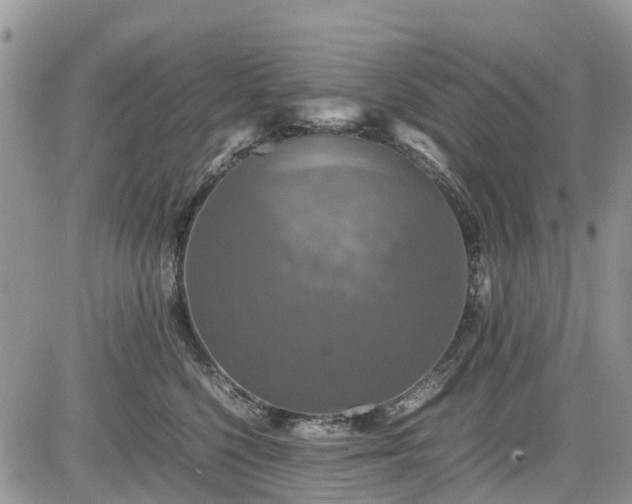 X0000085270568200703161433