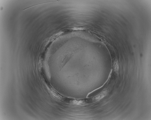 X0000085270570200703161433