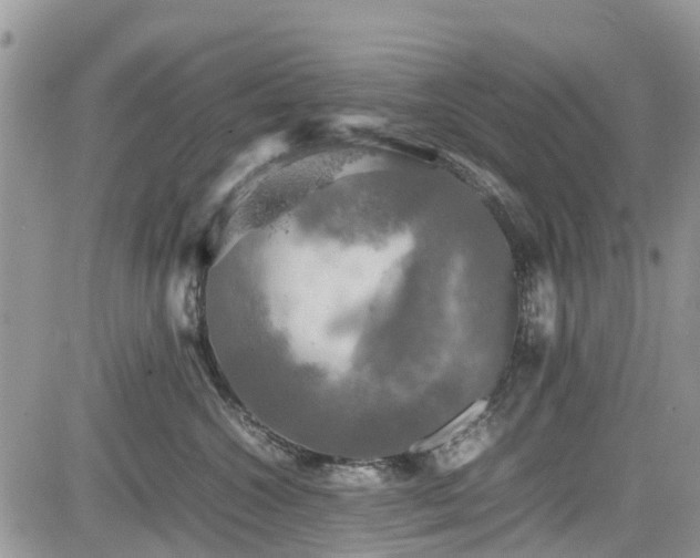 X0000085270572200703161433