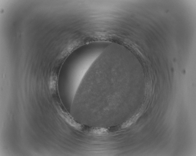 X0000085270576200703161433