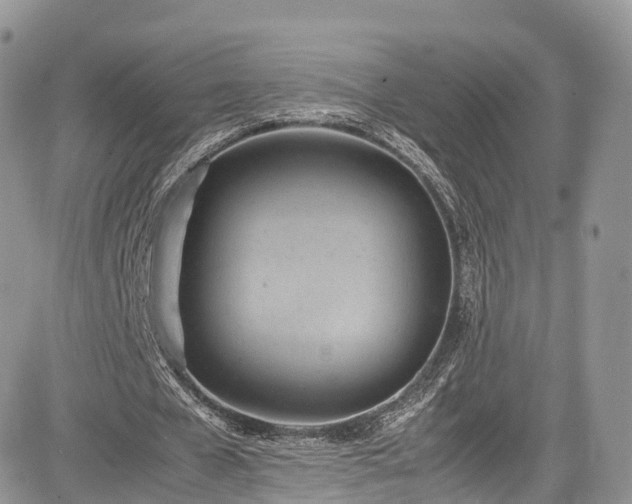 X0000085270577200703161432