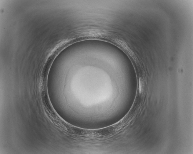 X0000085270579200703161432