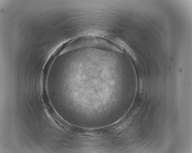 X0000085270580200703161432