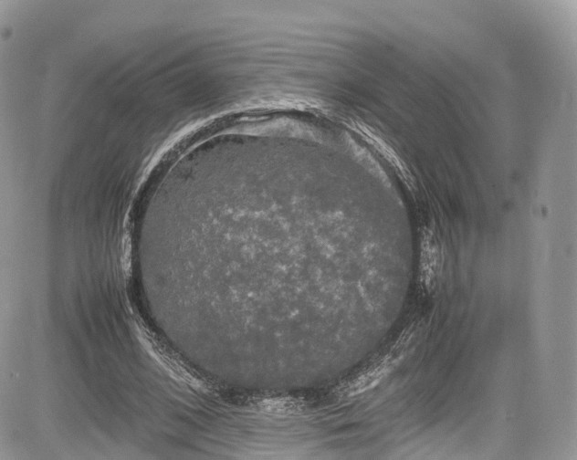 X0000085270584200703161432