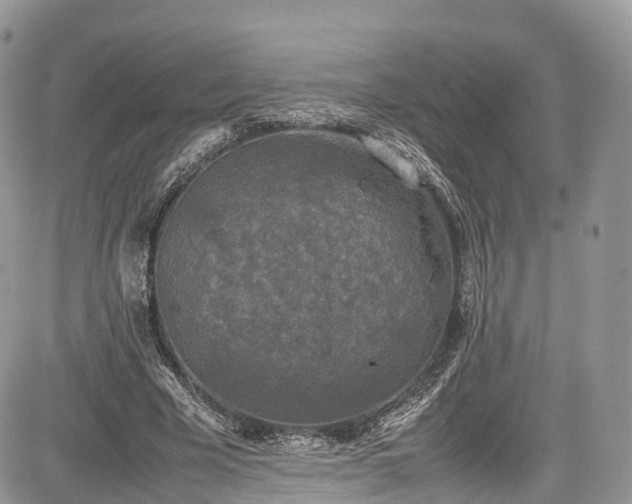 X0000085270585200703161432