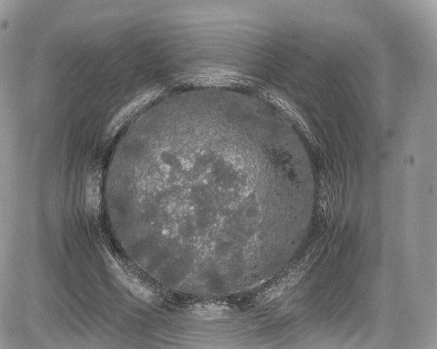 X0000085270586200703161432