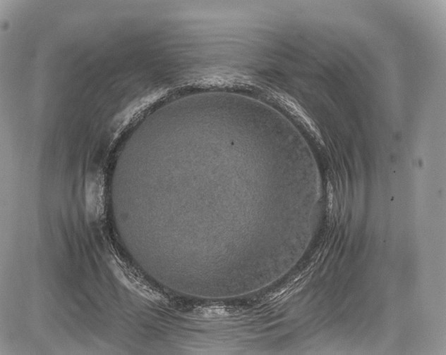 X0000085270588200703161432