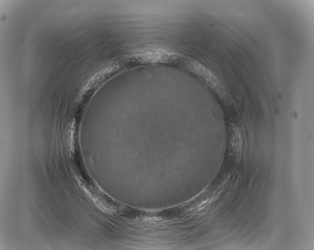 X0000085270590200703161432