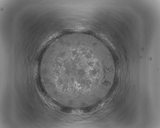 X0000085270591200703161432