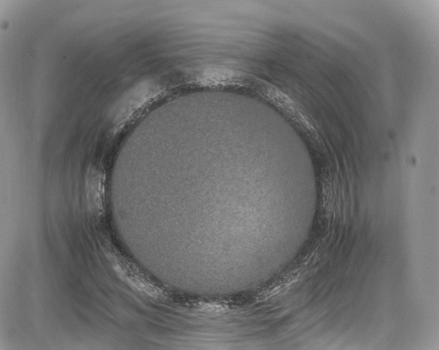 X0000085270592200703161432