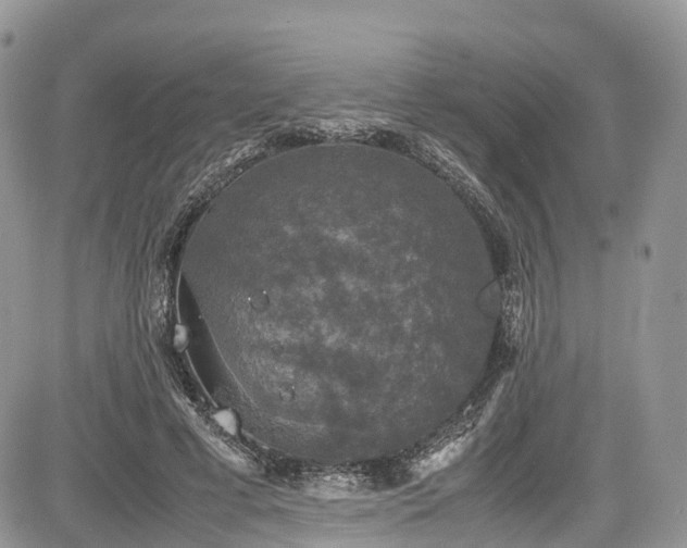 X0000085270593200703161432