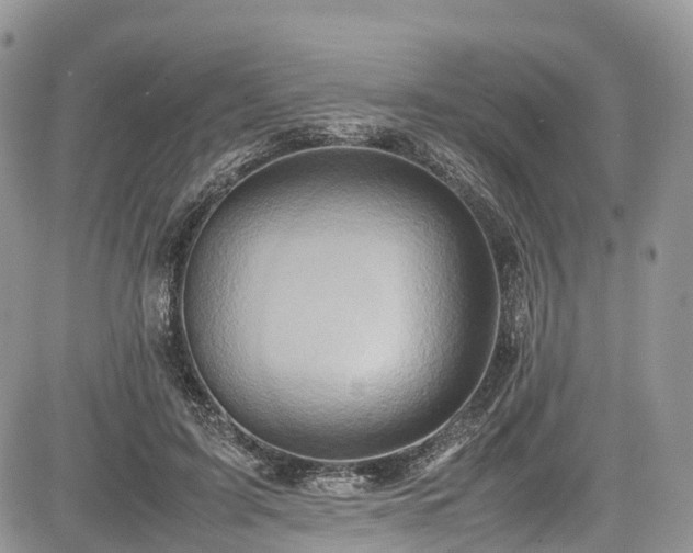 X0000085270595200703161432