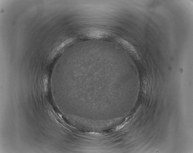 X0000085270596200703161432