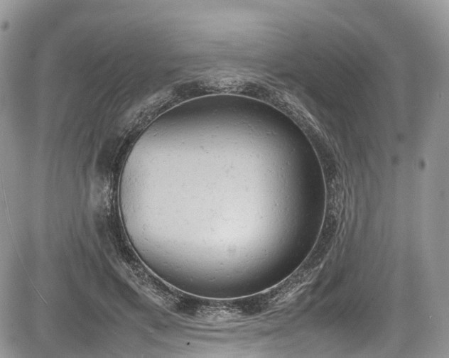 X0000085270597200703161432