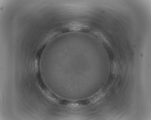 X0000085270598200703161432