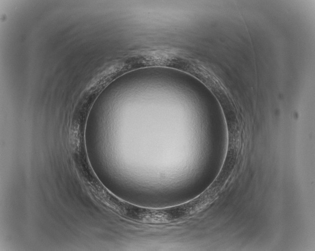 X0000085270599200703161432