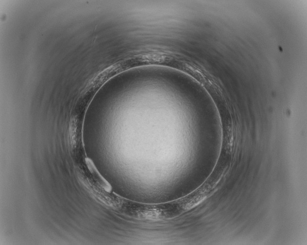 X0000085270600200703161431