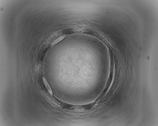 X0000085270601200703161431