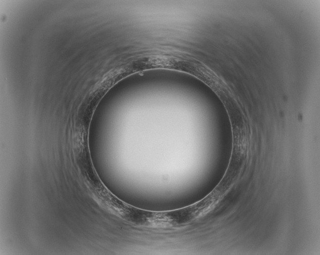 X0000085270603200703161431