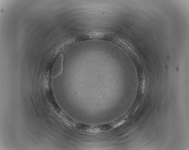 X0000085270604200703161431