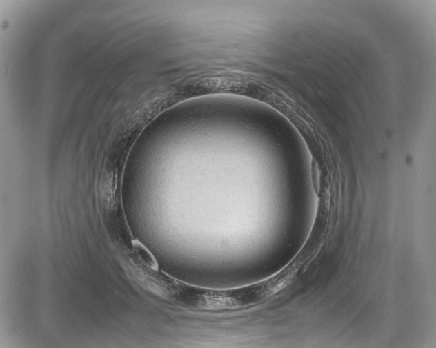 X0000085270605200703161431