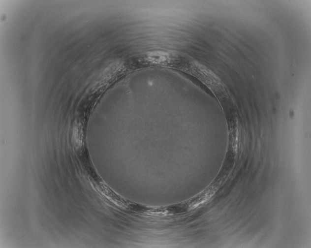 X0000085270606200703161431