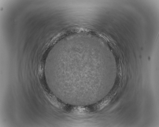 X0000085270607200703161431