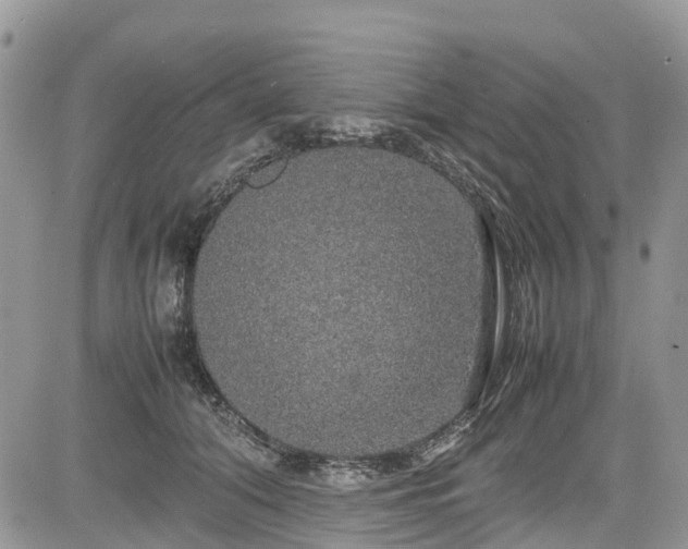 X0000085270608200703161431