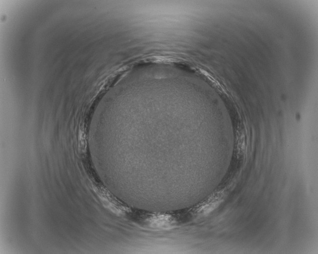 X0000085270609200703161431