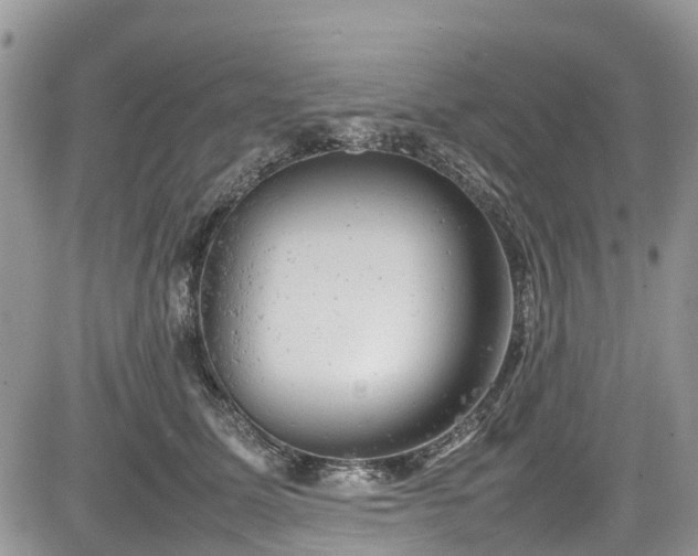 X0000085270611200703161431