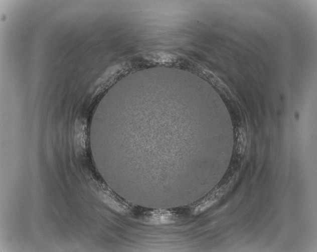 X0000085270612200703161431