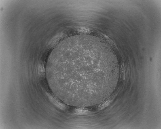 X0000085270614200703161431