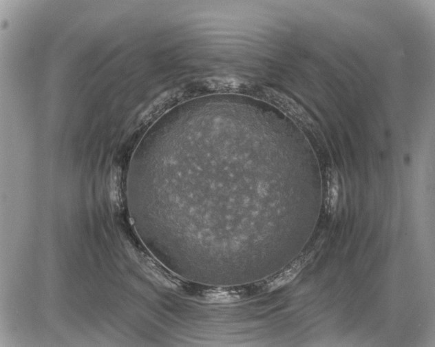 X0000085270616200703161431