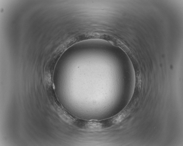 X0000085270617200703161431