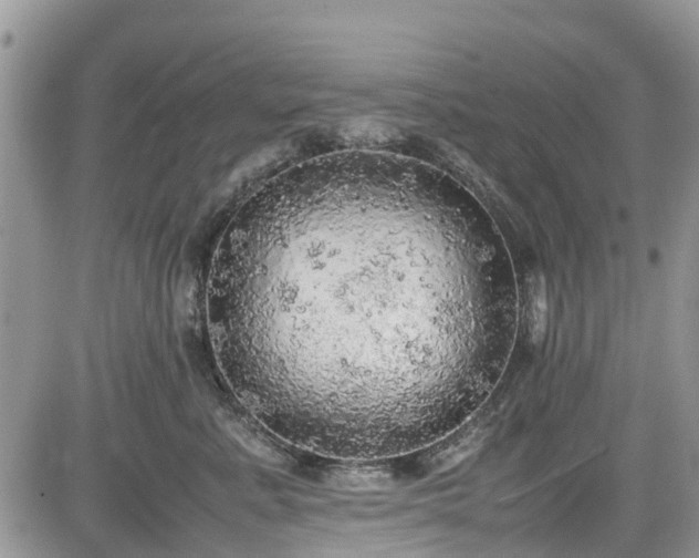 X0000085270619200703161431