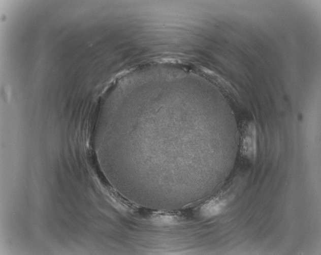 X0000085270620200703161431