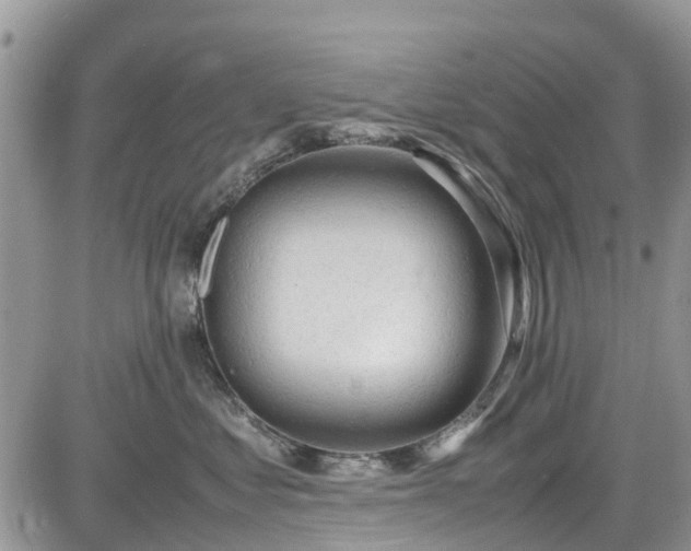 X0000085270621200703161431