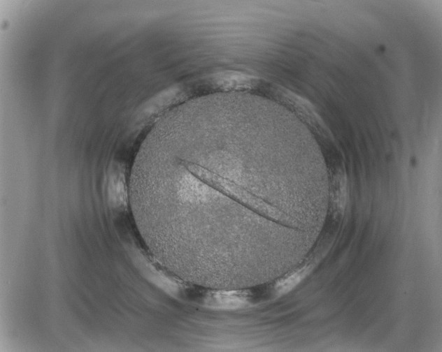 X0000085270622200703161431