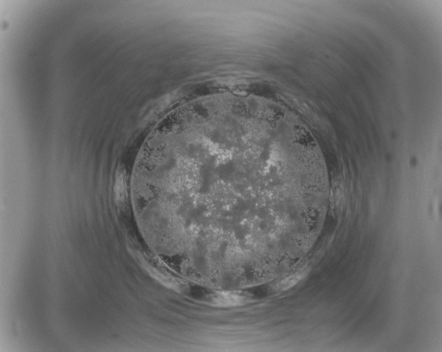 X0000085270623200703161431