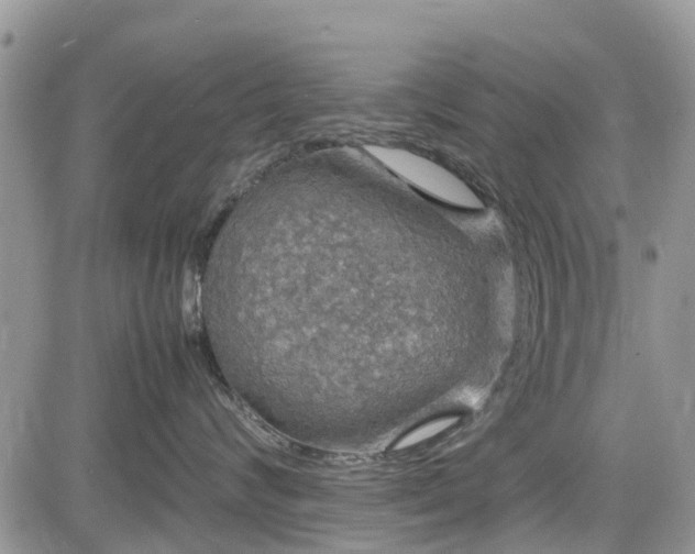 X0000085270624200703161431