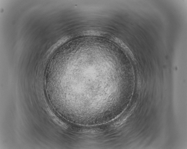 X0000085270625200703161430