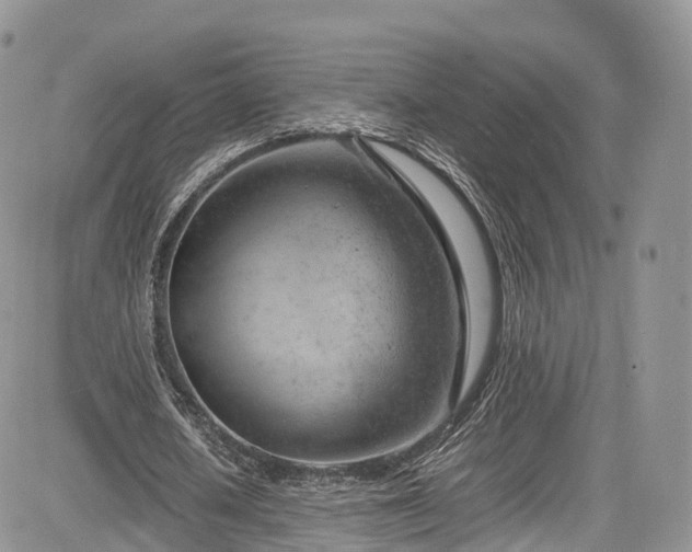 X0000085270626200703161430