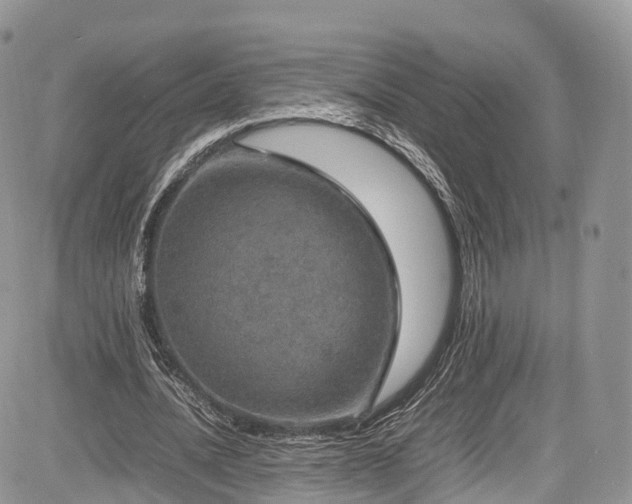 X0000085270628200703161430