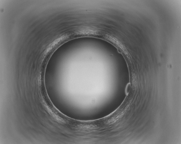 X0000085270629200703161430