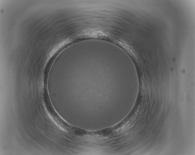 X0000085270630200703161430