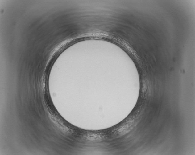 X0000085270632200703161430